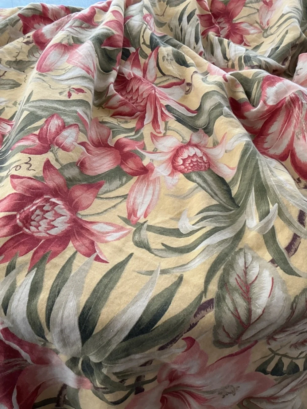 Tommy Bahama tommy bahama